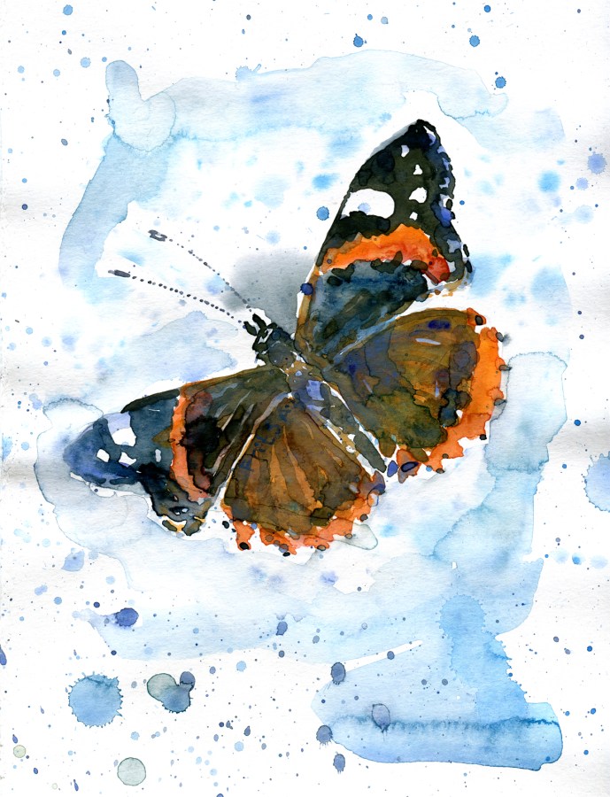 Watercolour - akvarel af Frits Ahlefeldt - sommerfugl