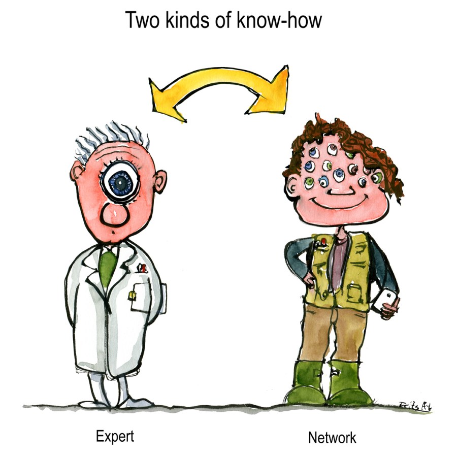 an expert with one eye and a network with many