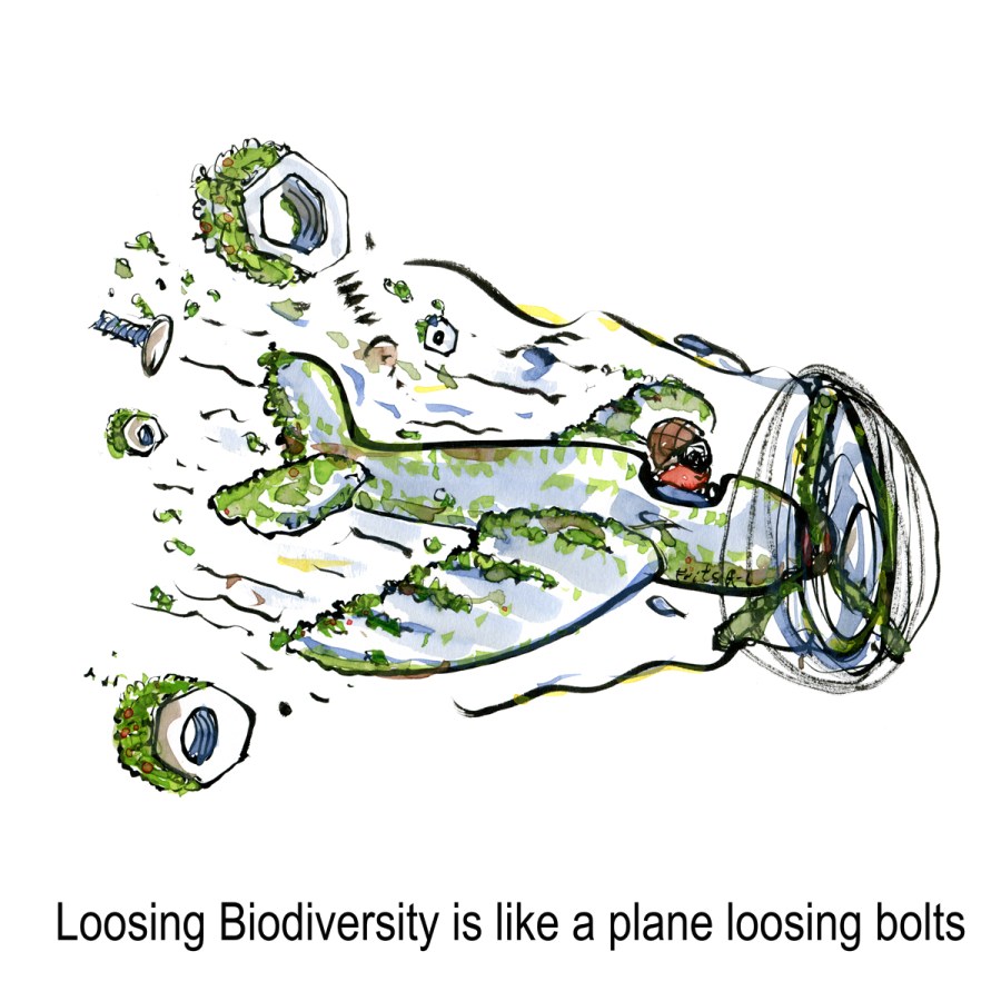 Drawing of a green eco plane loosing bolts