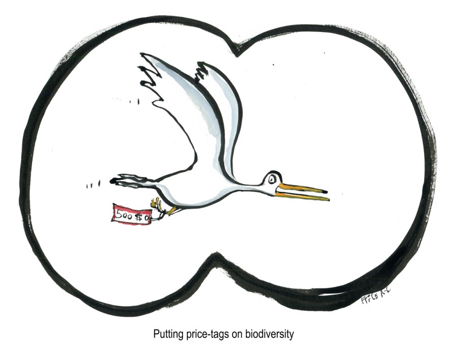 Bird flying with price tag