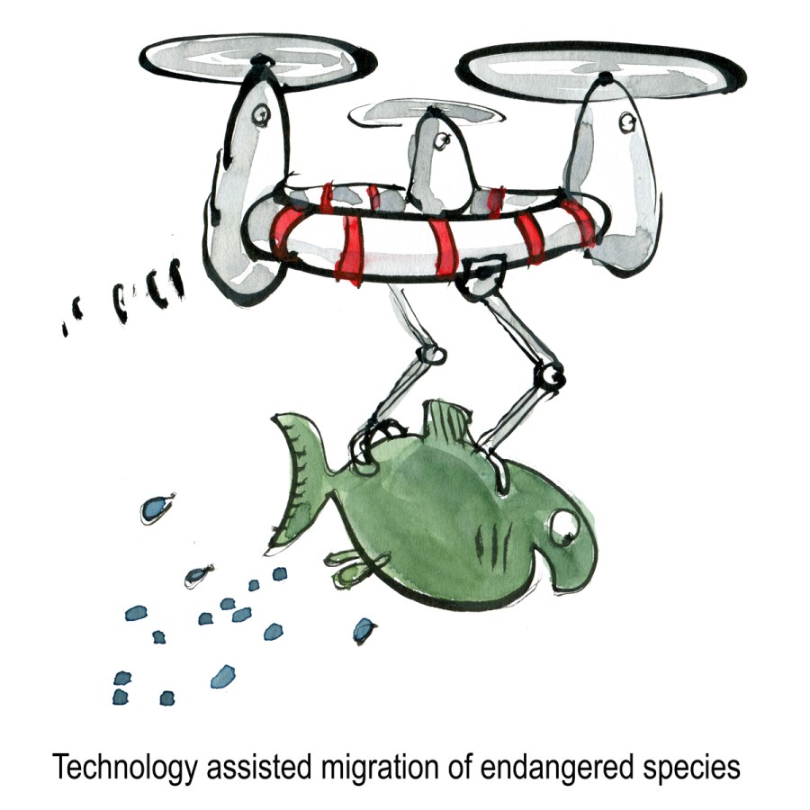 Drone flying with fish