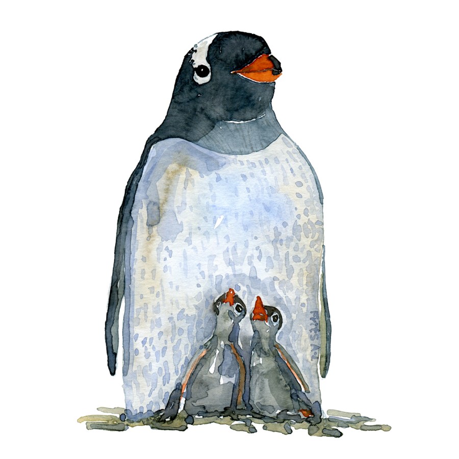 Penguin watercolor painting by Frits Ahlefeldt