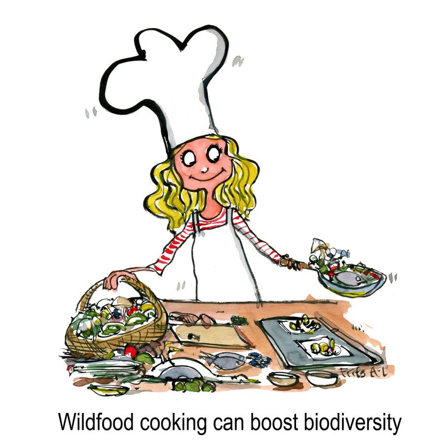 Wildlife cooking girl in kitchen making food