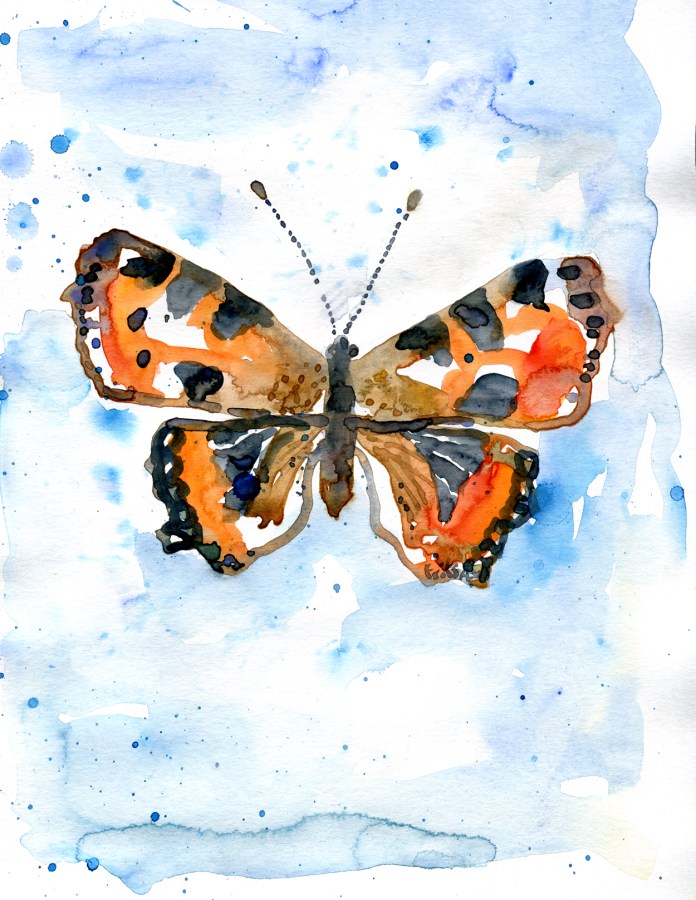 Watercolour - akvarel af Frits Ahlefeldt - sommerfugl