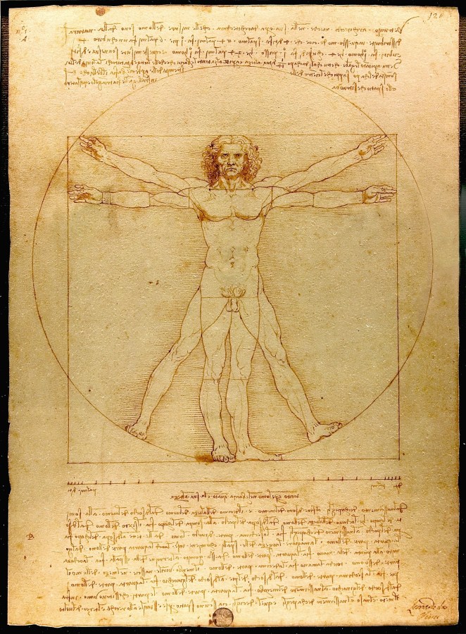 The Virtruvian Man Sketch by Leonardo Da Vinci