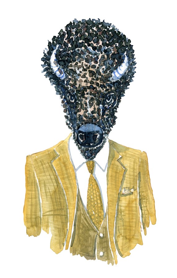 Watercolor of a bison Buffalo Artwork by Frits Ahlefeldt