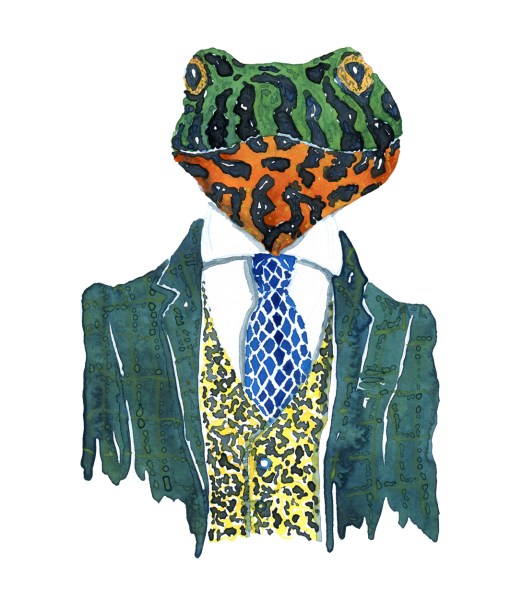 Firebellied frog in a green suit watercolor by Frits Ahlefeldt