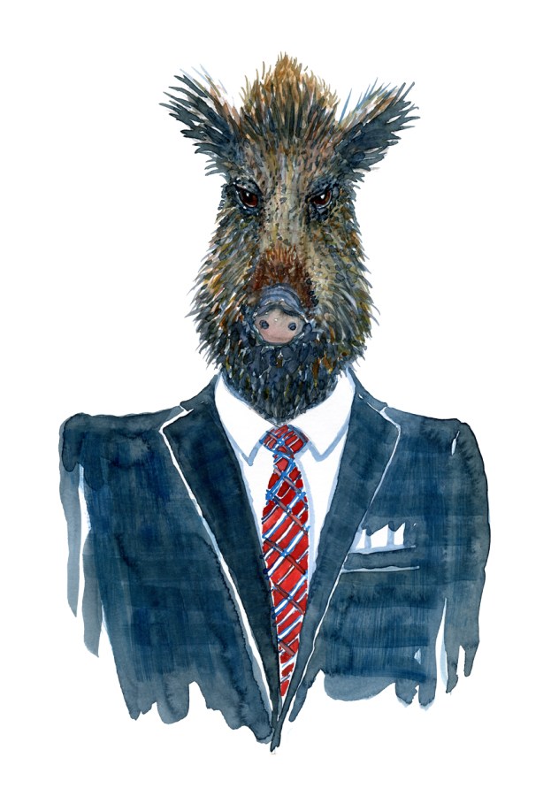 Wild Boar in clothing watercolor painting by Frits Ahlefeldt