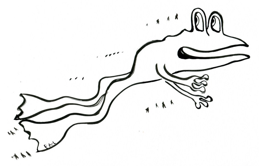 Black and white drawing of a frog jumping