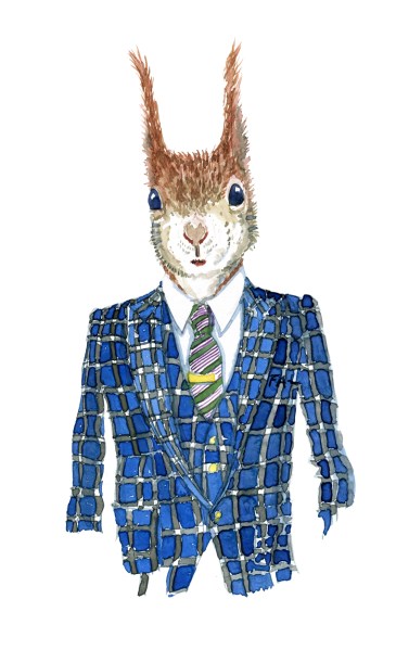 Red Squirrel in clothing watercolor painting by Frits Ahlefeldt