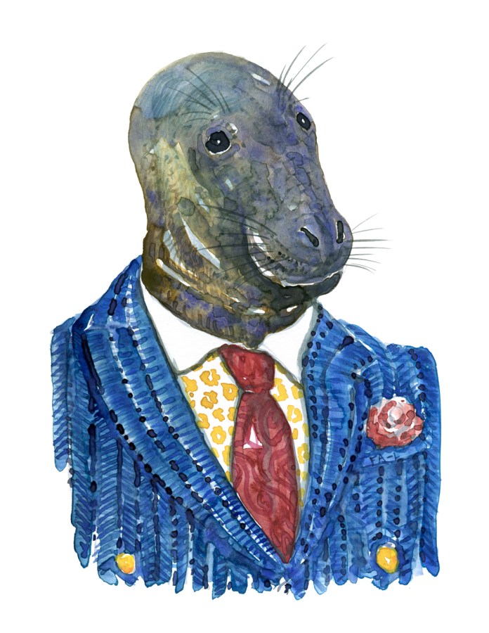 Seal in clothing watercolor painting by Frits Ahlefeldt