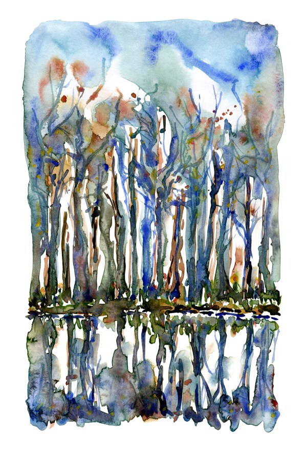 Drawing of tree like structures