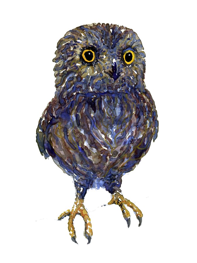 Illustration of an owl - front view Painting by Frits Ahlefeldt