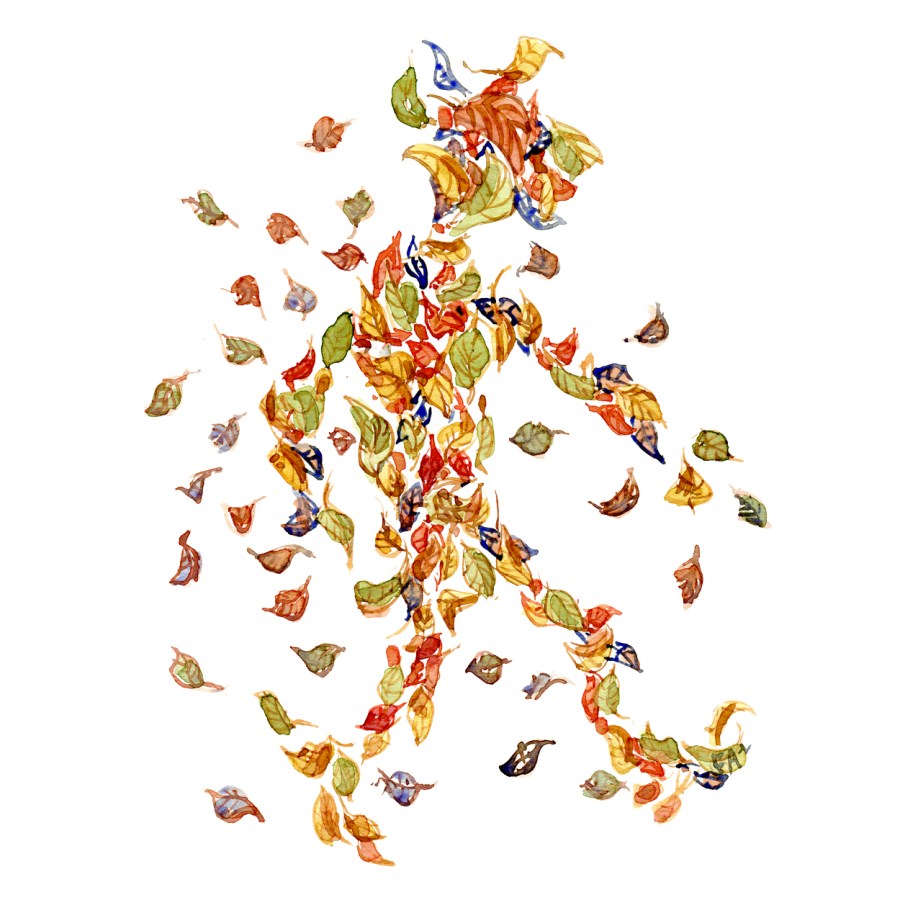 Leaves in the air looking like a person walking