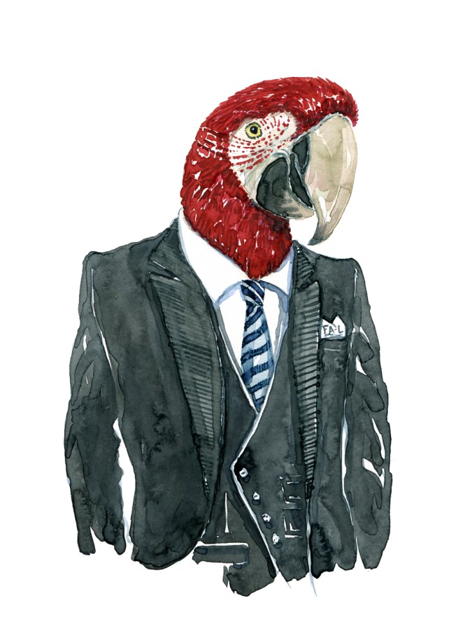 Watercolor illustration of Parrot