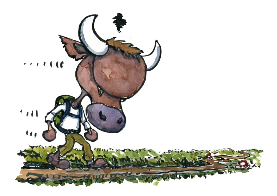 Drawing of a small backpacker bull, angry and walking