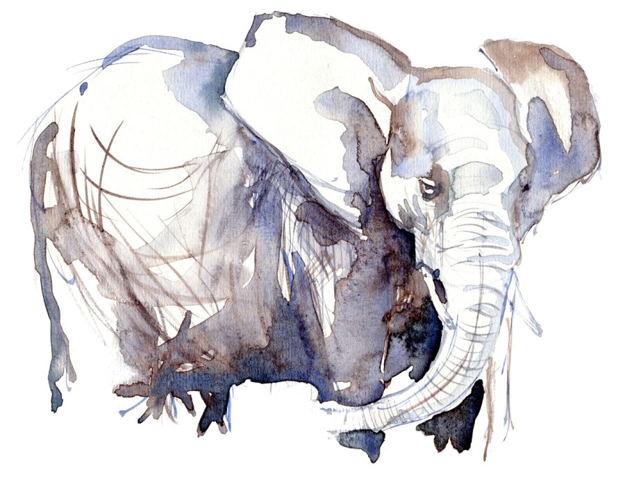 Elephant Watercolor by Frits Ahlefeldt