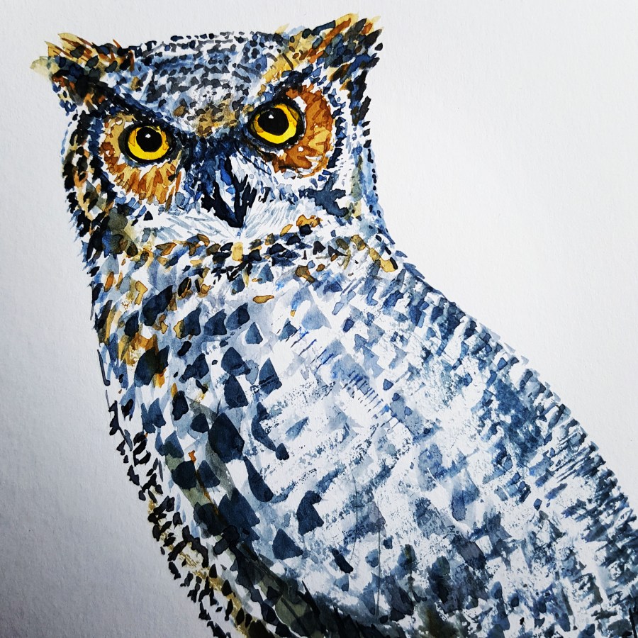 Owl watercolor by Frits Ahlefeldt