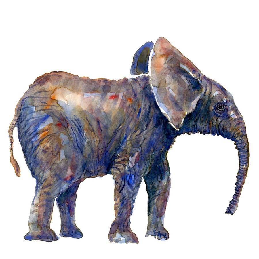 Watercolor of elephant art by Frits Ahlefeldt