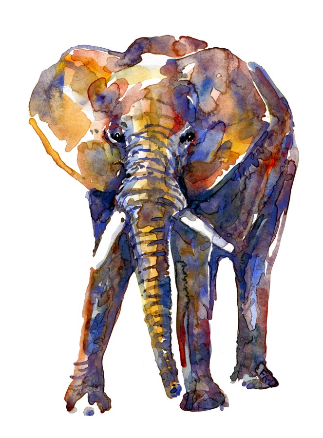 Watercolor of elephant art by Frits Ahlefeldt