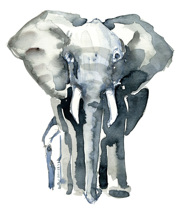 Elephant Watercolor by Frits Ahlefeldt