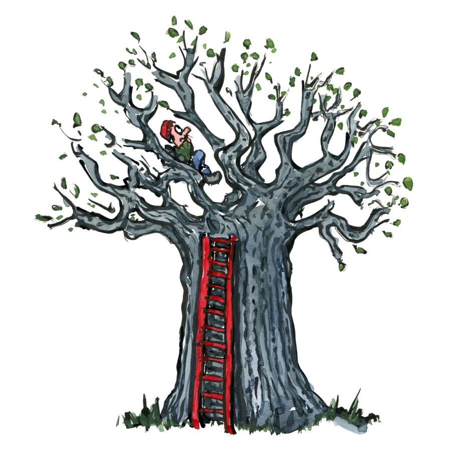 Drawing of a tree with a red ladder in it and a hiker up there watching the landscape. illustration by Frits Ahlefeldt