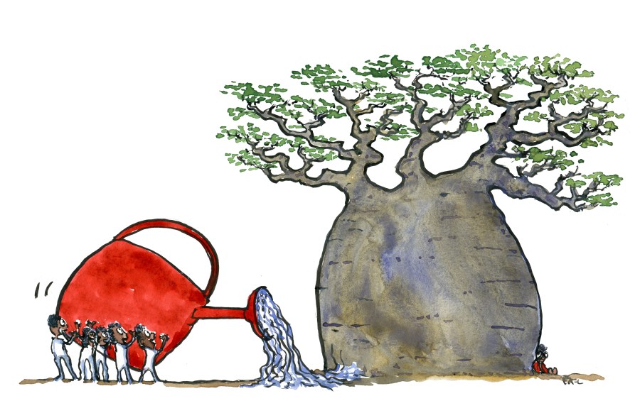 Large,ancient baobab tree and people watering it. Color illustration by Frits Ahlefeldt