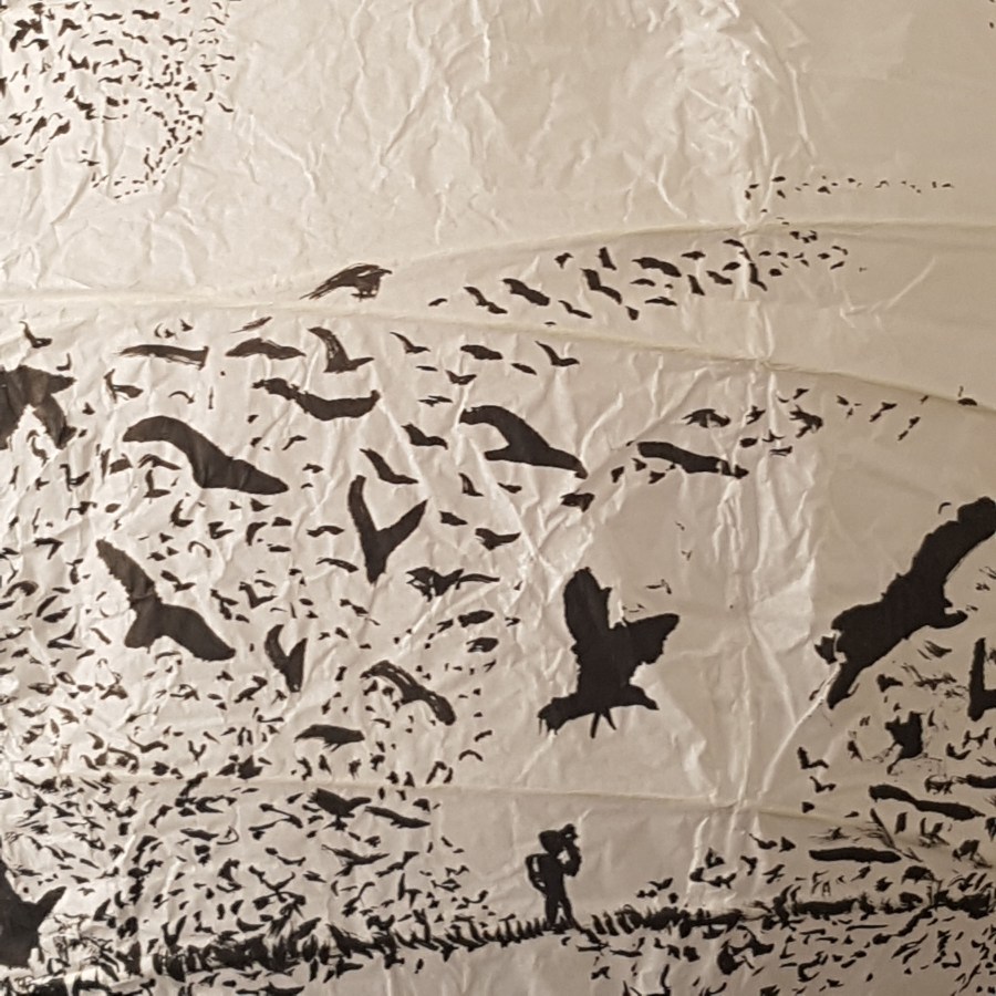 Artwork drawing of birds flying around ricepaperlamp - art by Frits Ahlefeldt