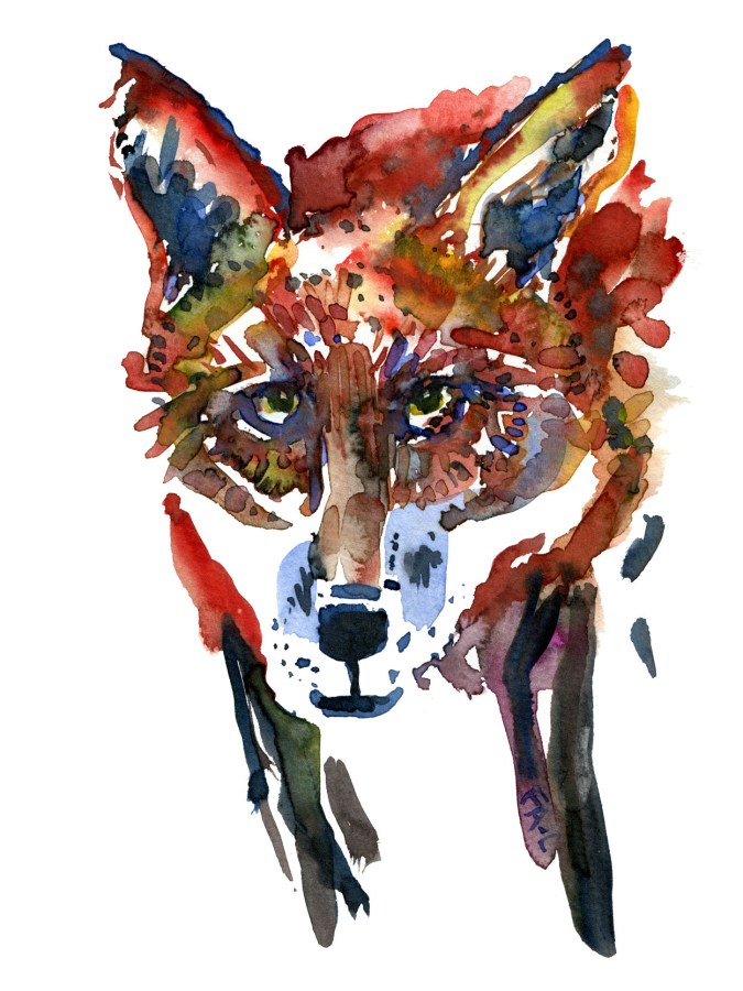 Fox, front look. Watercolor sketch by Frits Ahlefeldt